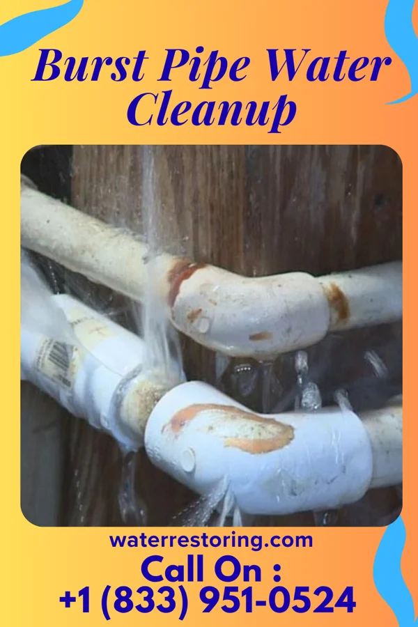 Burst Pipe Water Cleanup in Connorville, OH