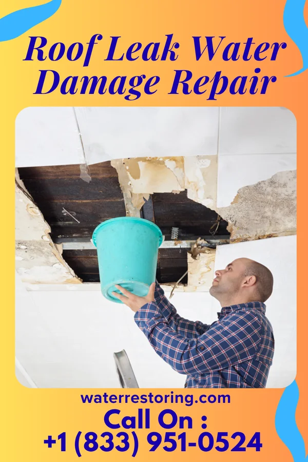 Roof Leak Water Damage Repair in Connorville, OH