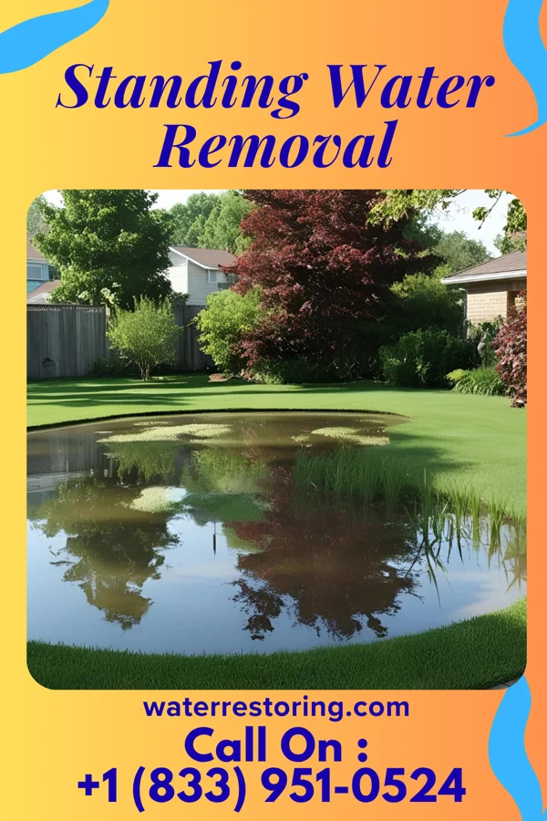 Standing Water Removal in Connorville, OH